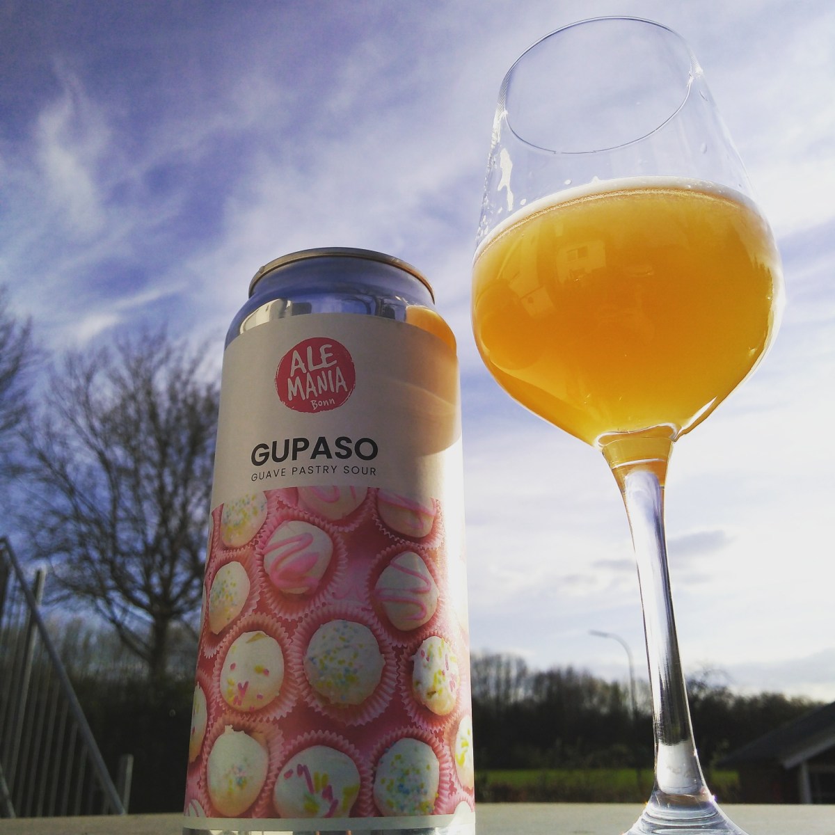 [Mikrolog] GUPASO – Guave Pastry Sour von&nbsp;Alemania