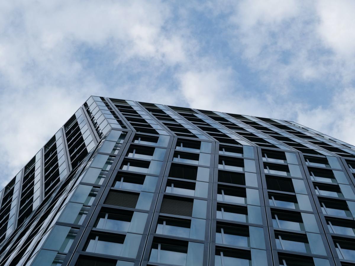 [Spotlight] Whack the&nbsp;Brewdog