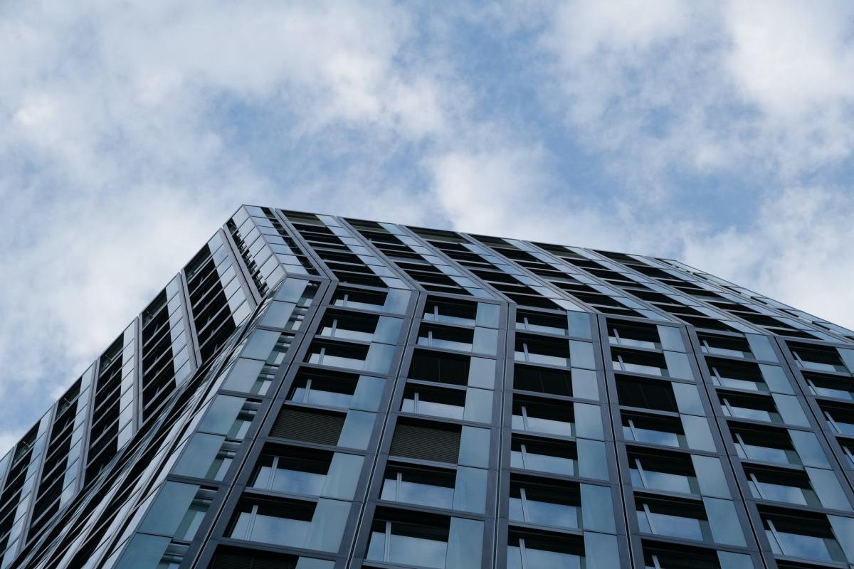 [Spotlight] Whack the&nbsp;Brewdog